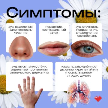 Профилактика и лечение аллергии: бесплатные консультации специалистов