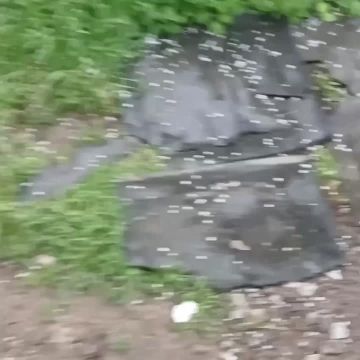 ���� ����� � ����������