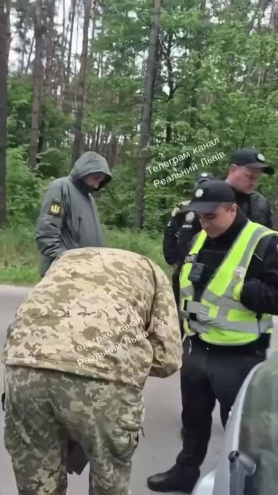Во Львовской области людоловы остановили автомобиль и, не предъявив документов, начали бить по машине