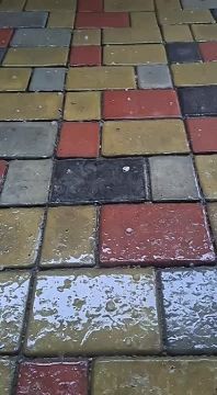 ���� � �������