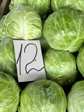 За молодую капусту просят 12 рублей, её сейчас на рынке много