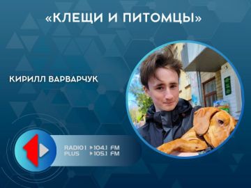 ����� � �������. ����� � ��� �� ������ ������ � ������ ��������, �� � ����� ������, ������� ����� ���� ������ ��� ����� ��������