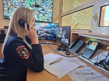 В МВД Приднестровья сообщили о росте обращений по вопросам справок о несудимости и российского гражданства