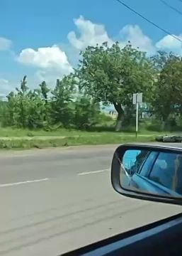Два мопеда лежат на дороге между Тирасполем и Парканами, на обочине стоит учебная машина