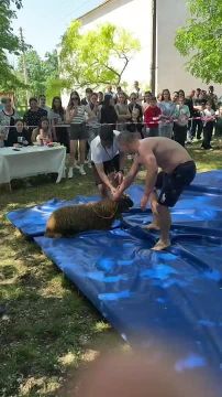 Это местная легенда Спеи Андрей Евтодиев, сегодня утром он в 10-й раз выиграл барана в трынте