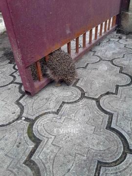 ������ �������: ������ �� ������� � ������ � ����������