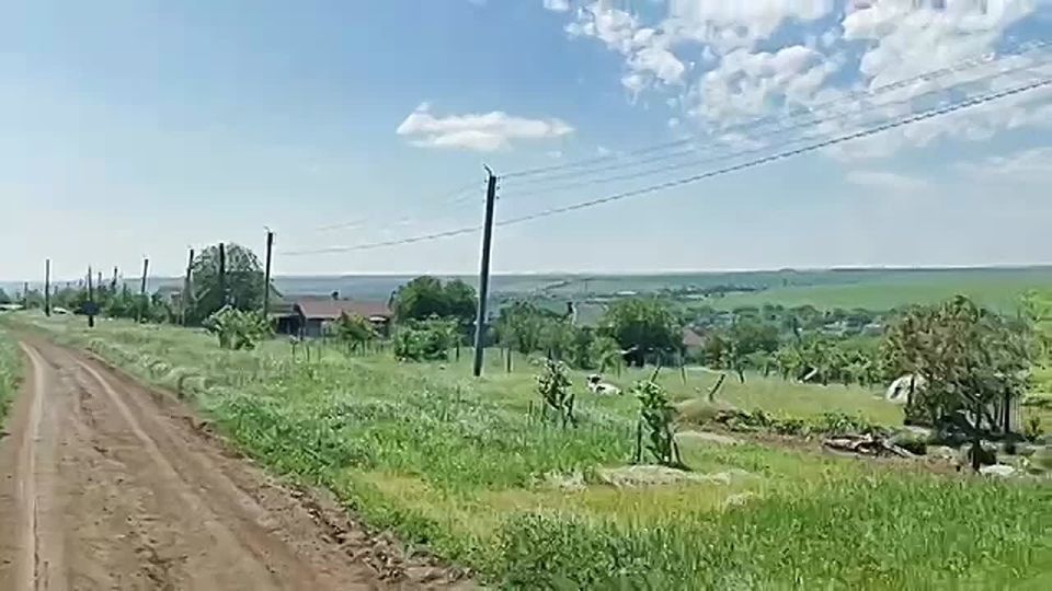 Солнечный день с освежающим ветерком