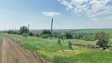 Солнечный день с освежающим ветерком
