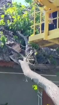 ������� ����� ��������� �������� � � ����� �����