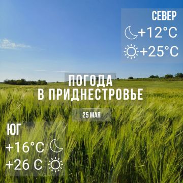 Днём – до +26°С, местами дожди