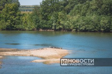 Днестр всё больше напоминает систему озёр – главный метеоролог Приднестровья Виталий Кольвенко