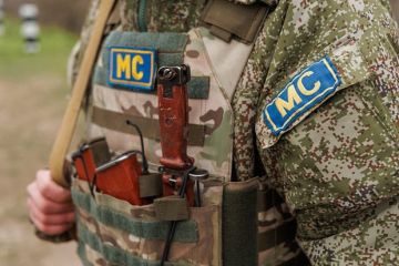 Полищук: Для вывода российских войск из ПМР нужны их подвижки в урегулировании