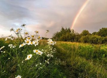 В начале лета нас ждут погодные «качели»