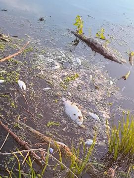 ���� � ������� ������� ��-�� ���������� ��������� - ��� ������ �����������