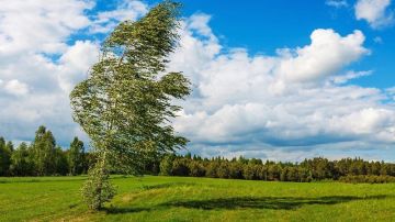Сегодня по республике ожидается усиление северо-западного ветра до 15 м/с., сообщает Гидрометцентр