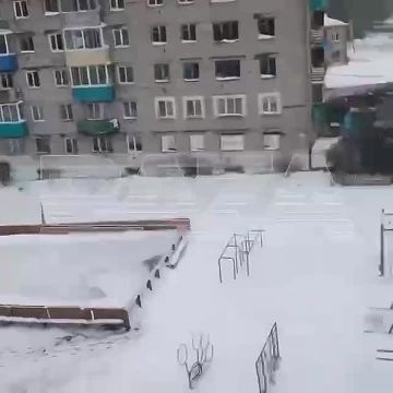 ����������, ��������, ������ � ����������� ���� �������� ������