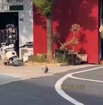 ����� �������� ������� ������, �� �� � ��� �� �������������: