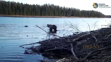 ������ - �����, ������� - ��������: