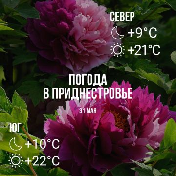 Днём – до +22°С, местами. кратковременный дождь