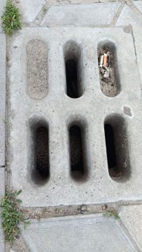 � ���������� ������ ���, ����������� � ����������� �����
