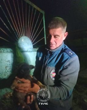 «Человек — самое жестокое животное»