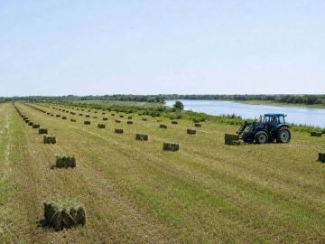 В Григориопольском районе тракторист перепутал поля и скосил люцерну на чужом участке
