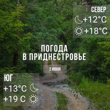 Днём – до +19°С. Местами дожди с грозой и градом