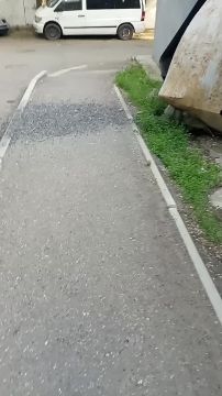 ����� ������ ������� ������ ����� ������ ������ � �����