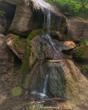 Роги, водоносная балка. Николай Романович