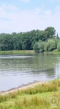 ГУпЧС предупреждает: купаться там, где не дежурят спасатели, опасно для жизни
