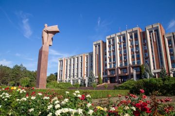 Борьба с травлей в интернете, Уголовно-процессуальный кодекс, работа над новыми законами об образовании и о туристской деятельности