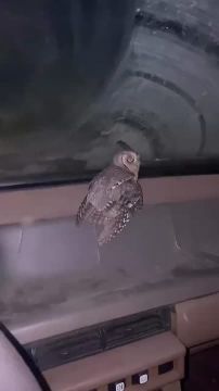 � ������������� ����� � ������ ������� ������