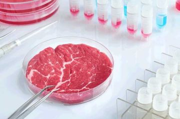 В Нидерландах открылась первая в мире ферма, на которой производят мясо в биореакторах без участия животных