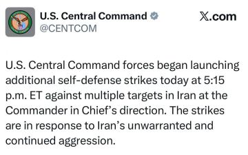 ����������� ������������ �� ���: