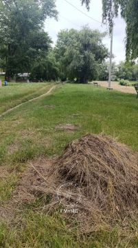 На пляже в Дубоссарах с утра немного людей