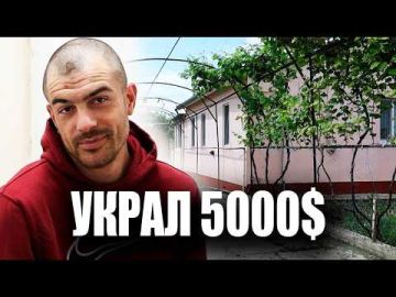 Пять тысяч долларов, три часа свободного времени и одна не очень удачная бизнес-идея