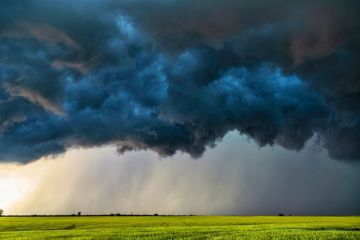 ����� � ����� �� 15 �/� ������� �������� �� ������ �������������