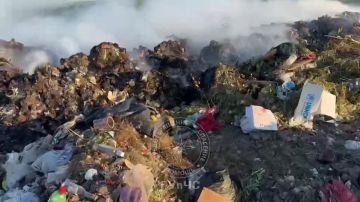 Григориопольские пожарные ликвидировали возгорание на полигоне ТБО в направлении села Гыртоп