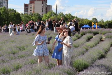 II лавандовый фестиваль в Первомайске собрал сотни жителей республики и туристов