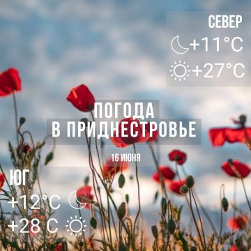 ���� � �� +28��. ���������� ����������, ��� �������
