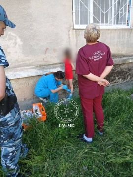 В Бендерах 8-летняя девочка выпала из окна третьего этажа
