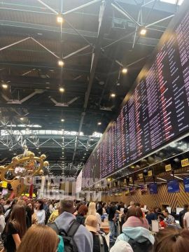 В Москве отменили и задержали уже 527 рейсов