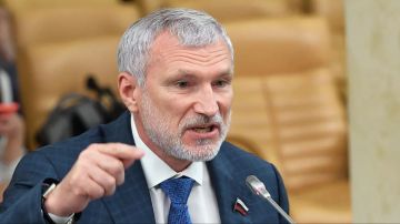 Нужно начать, наконец, воевать всерьез, — первый заместитель главы Комитета Госдумы по обороне Журавлёв после массовой атаки на Москву