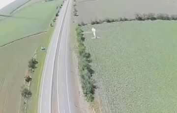 Кадры уничтожения БПЛА «Hornet» зенитным FPV перехватчиком предположительно на территории Крыма