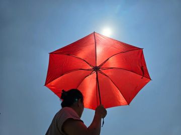 � �������� - ����������������� ����
