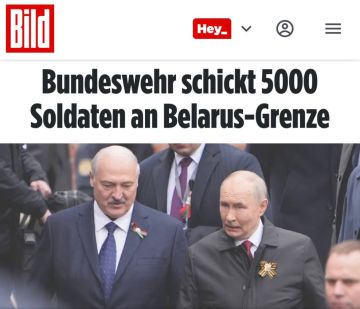 ������������ ���� �������� ��������� 5000 ������ � �����: ��������� ��������� ���� ������ �� ������� � �����������