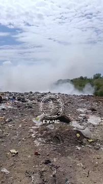 Свалка горит в Слободзейском районе, между Чобручами и Глиным
