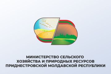 Президент заслушал доклад Министра сельского хозяйства о ситуации в агросекторе