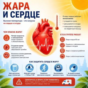 Жара – серьёзная нагрузка для сердца и сосудов
