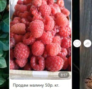 ������ �� 50 ������ ���������� � ������������ ����